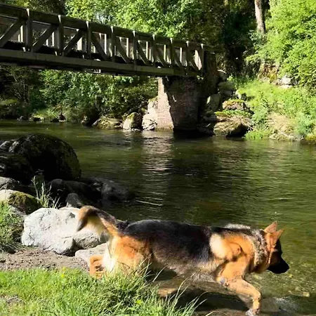 Mountain House Junac Casa vacanze Lapege