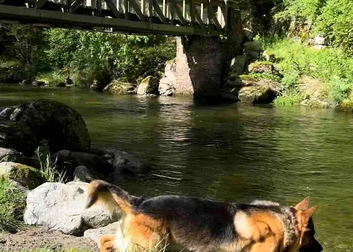 Mountain House Junac بيت للعطل Lapege